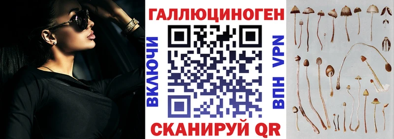 Купить  Кораблино  Псилоцибиновые грибы Magic Shrooms 